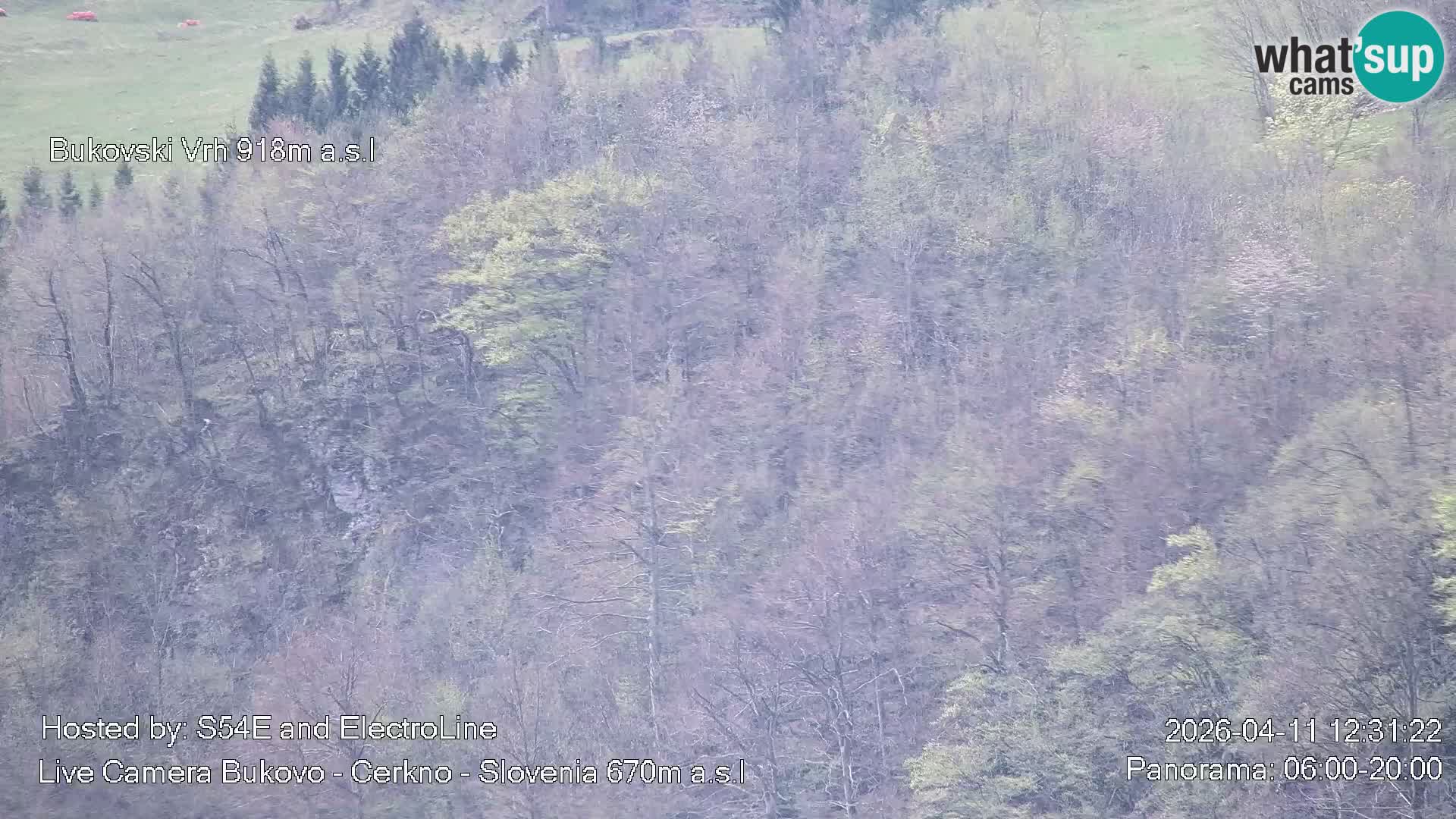 Webcam Bukovo – Baška grapa | Cerkno | Slovenia