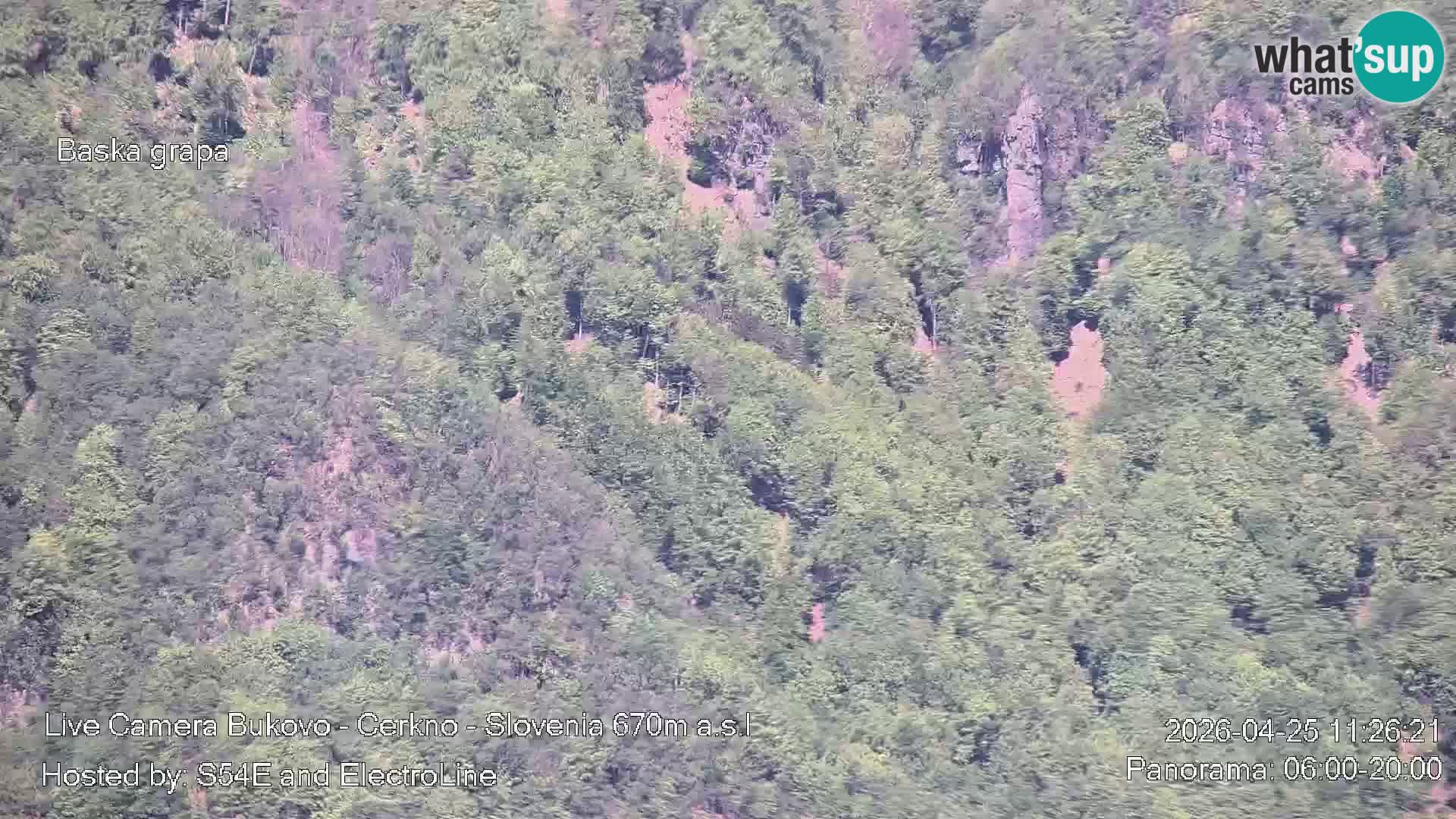 Webcam Bukovo – Baška grapa | Cerkno | Slovénie