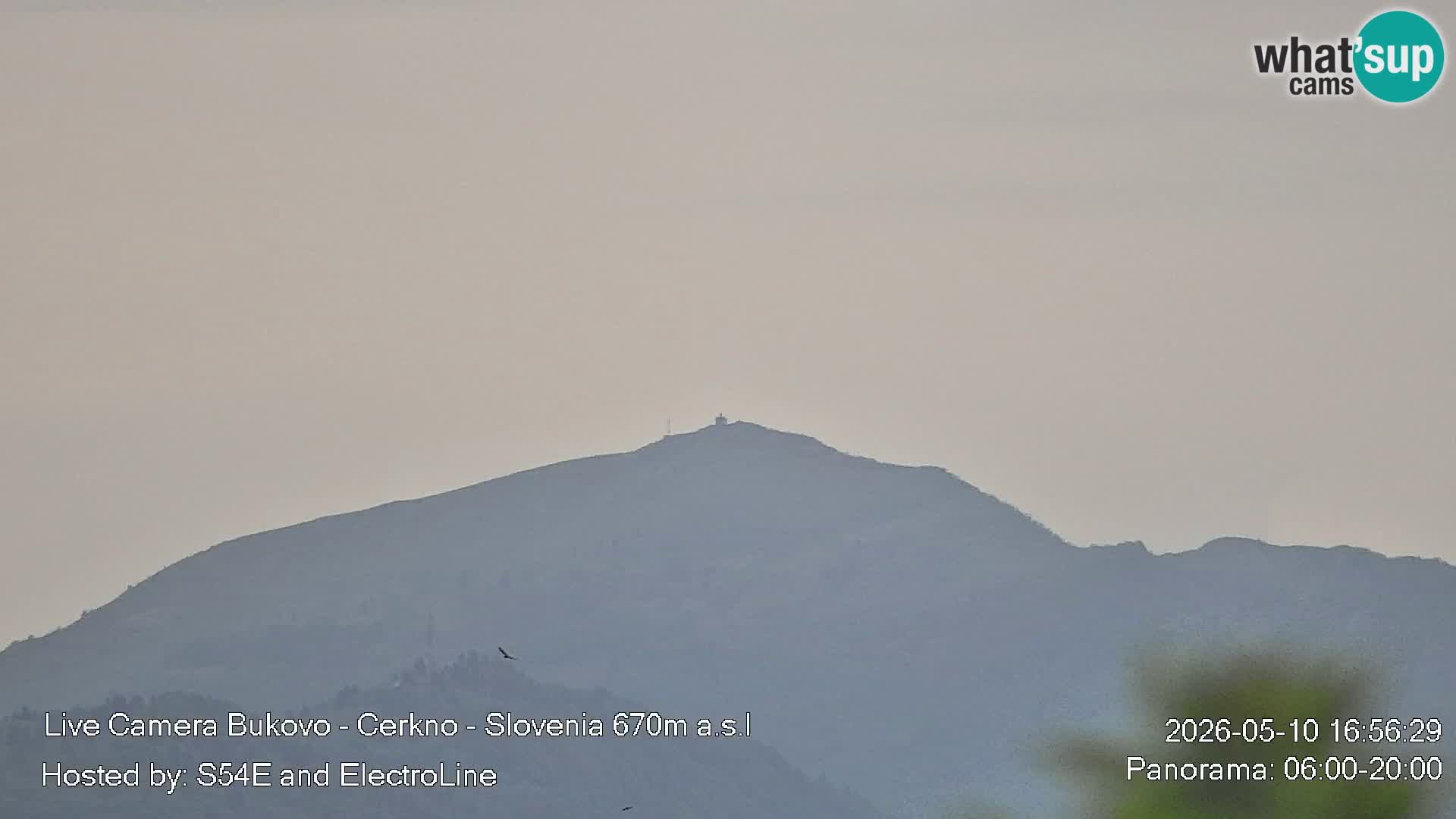 Web kamera Bukovo – Baška grapa | Cerkno | Slovenija