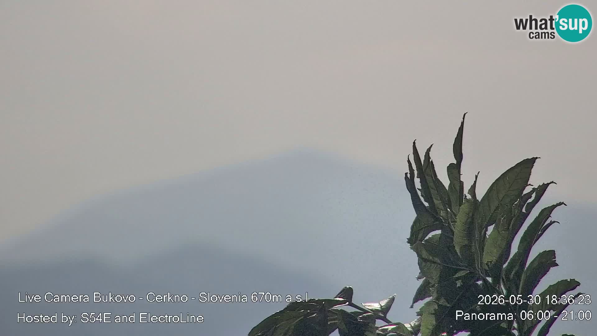 Web kamera Bukovo – Baška grapa | Cerkno | Slovenija