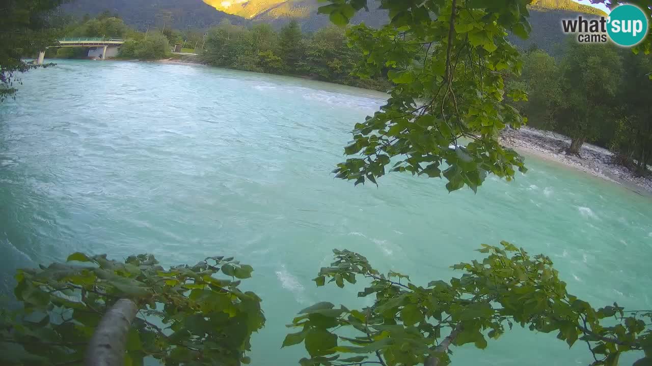 Livecam Čezsoča – Il splendido fiume Isonzo – Soča