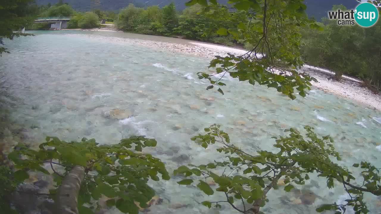 Spletna kamera Čezsoča – Očarljiv pogled na reko Sočo