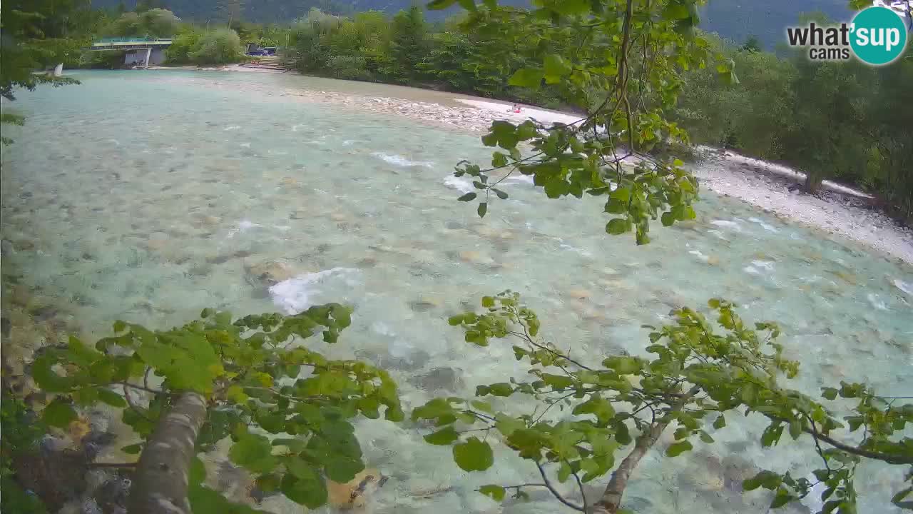 Livecam Čezsoča – Il splendido fiume Isonzo – Soča