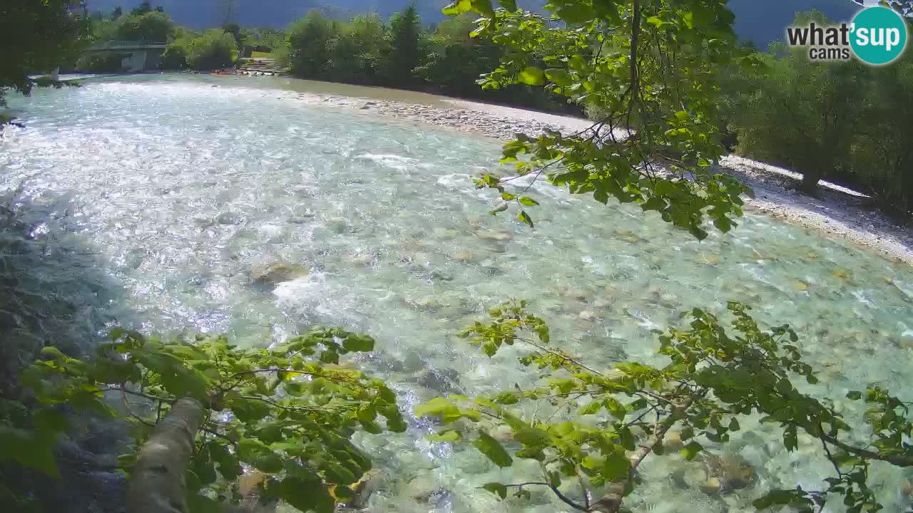 Webcam Čezsoča – Amazing view of Soča River