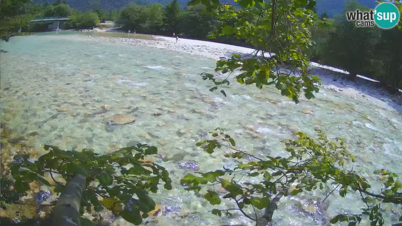 Webcam Čezsoča – Amazing view of Soča River