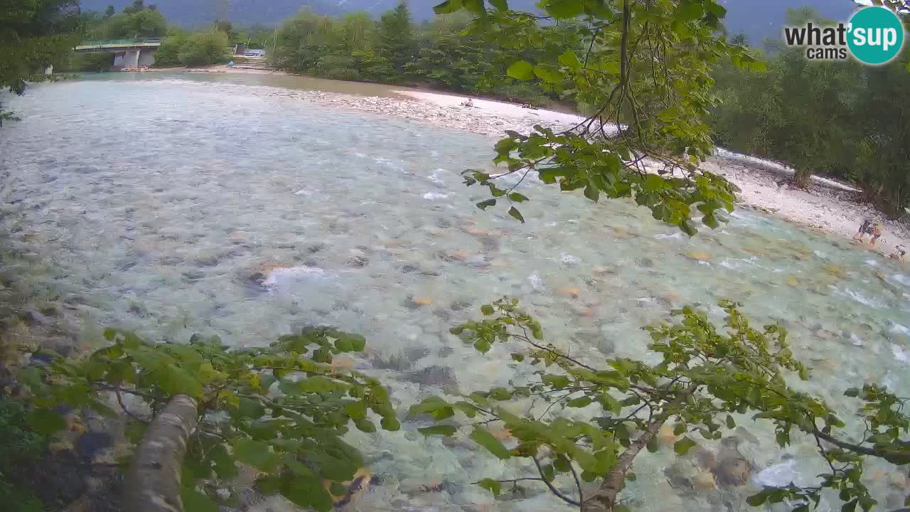 Webcam Čezsoča – Amazing view of Soča River