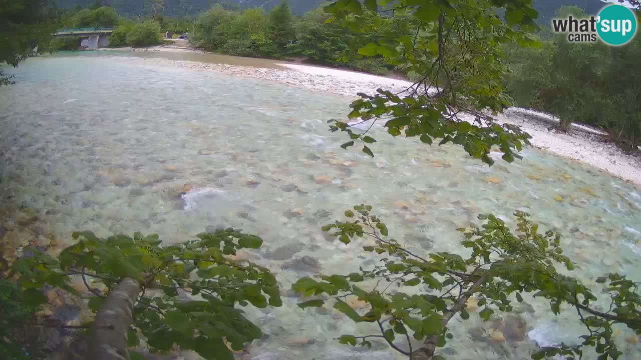 Livecam Čezsoča – Il splendido fiume Isonzo – Soča