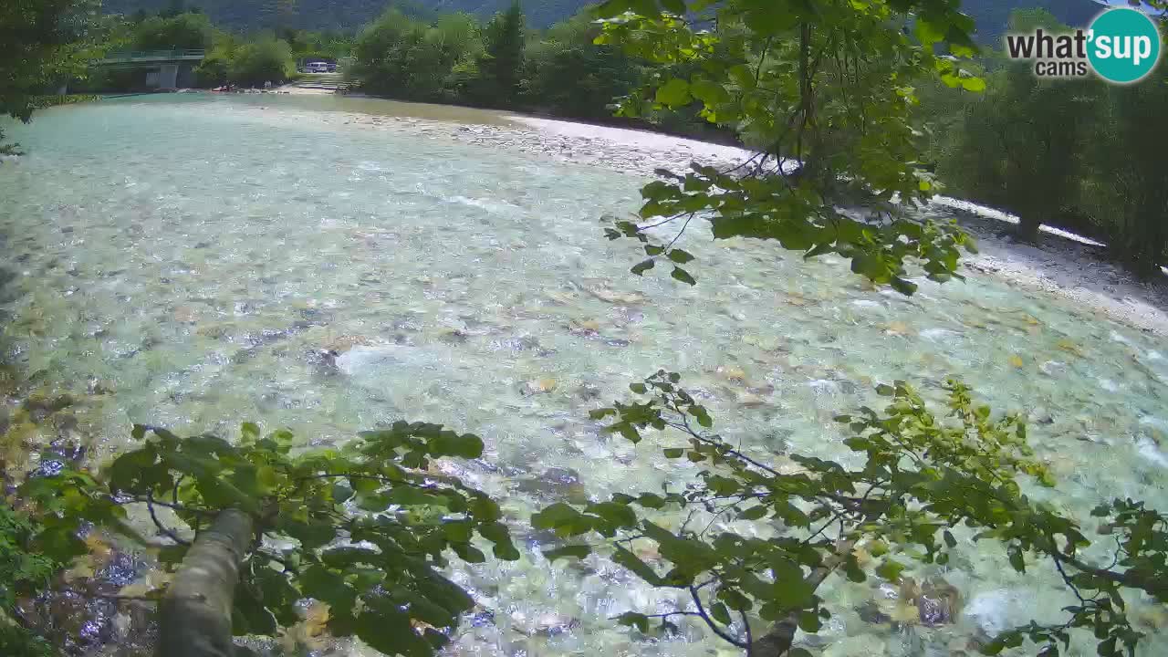 Caméra en direct Čezsoča – Vue imprenable sur la rivière Soča