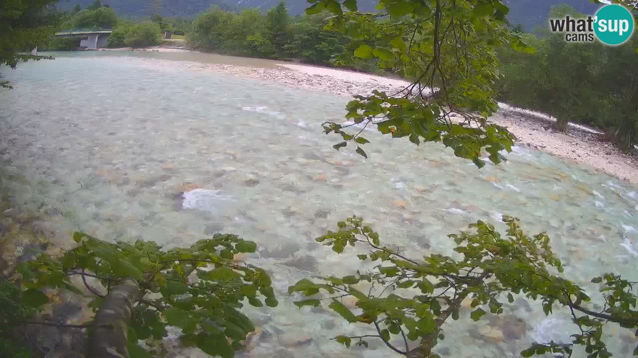 Livecam Čezsoča – Il splendido fiume Isonzo – Soča