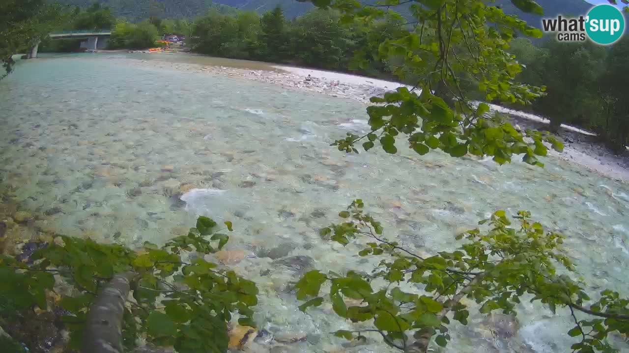 Livecam Čezsoča – Il splendido fiume Isonzo – Soča