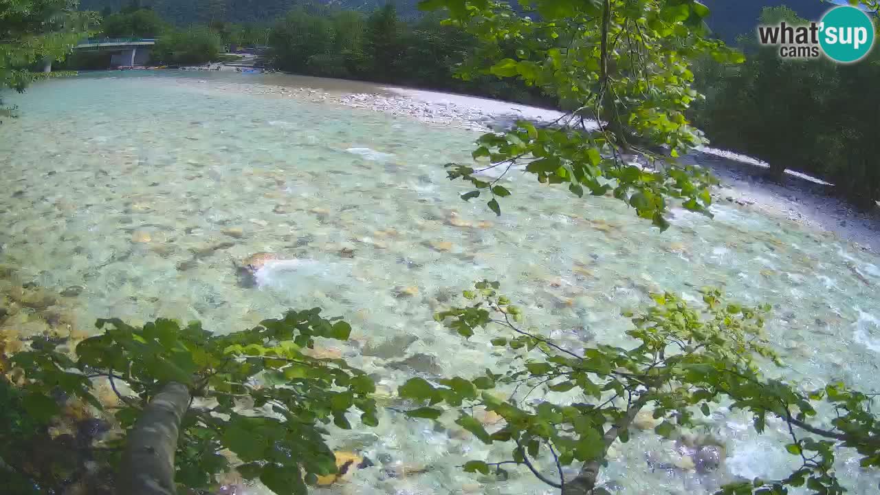 Čezsoča Webcam – Fantastischer Blick auf den Fluss Soča