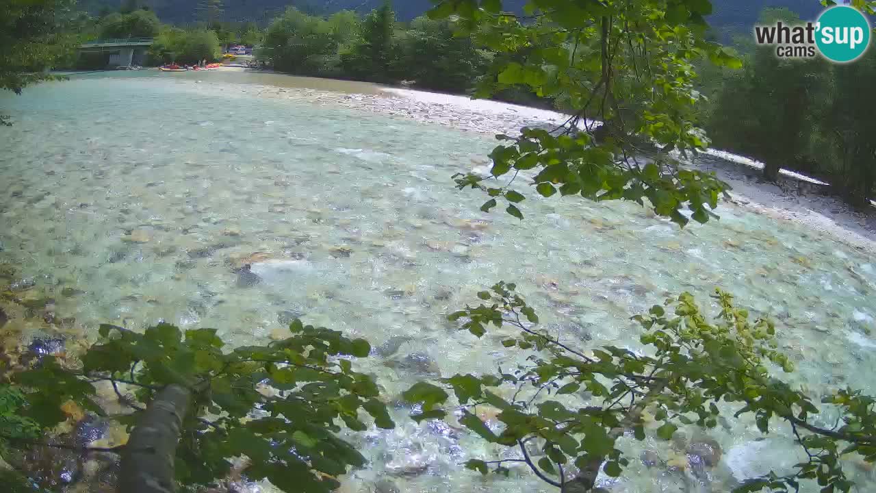 Čezsoča Webcam – Fantastischer Blick auf den Fluss Soča
