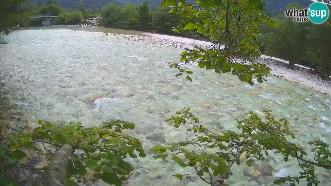 Livecam Čezsoča – Il splendido fiume Isonzo – Soča