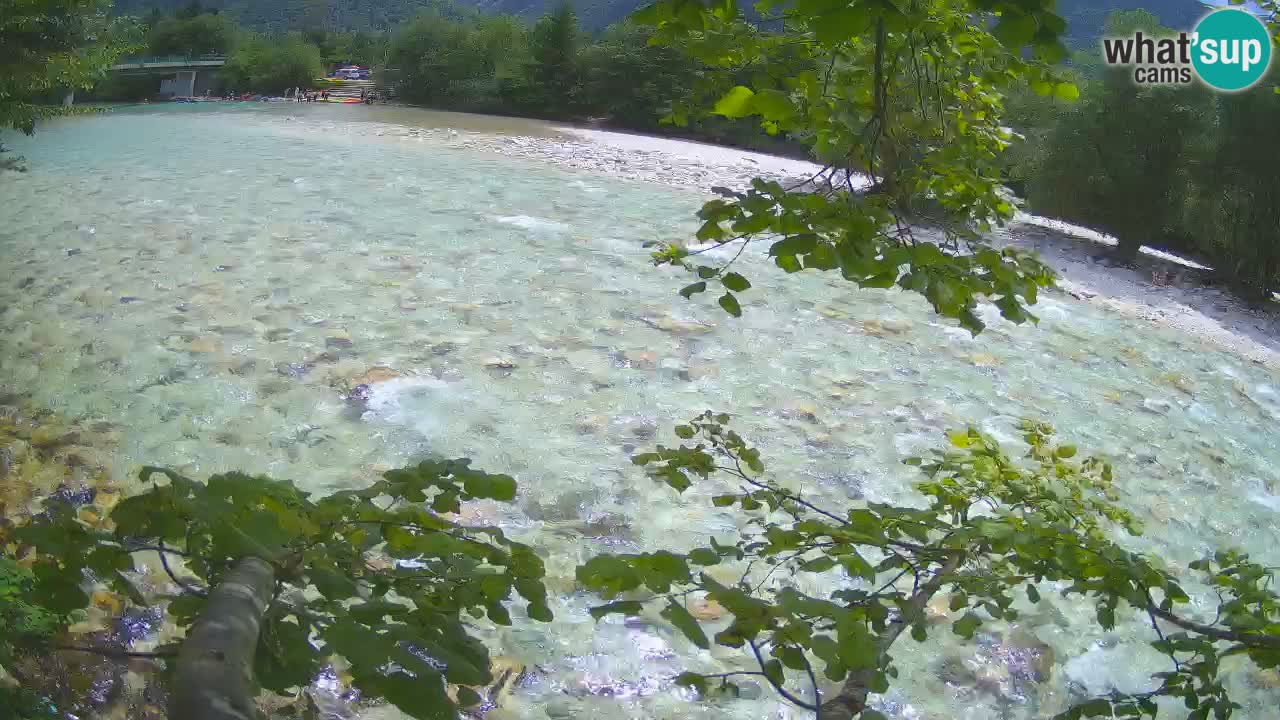 Spletna kamera Čezsoča – Očarljiv pogled na reko Sočo