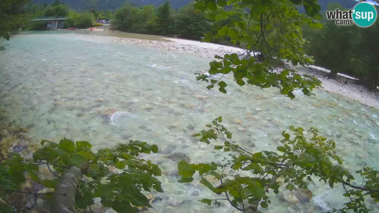 Livecam Čezsoča – Il splendido fiume Isonzo – Soča