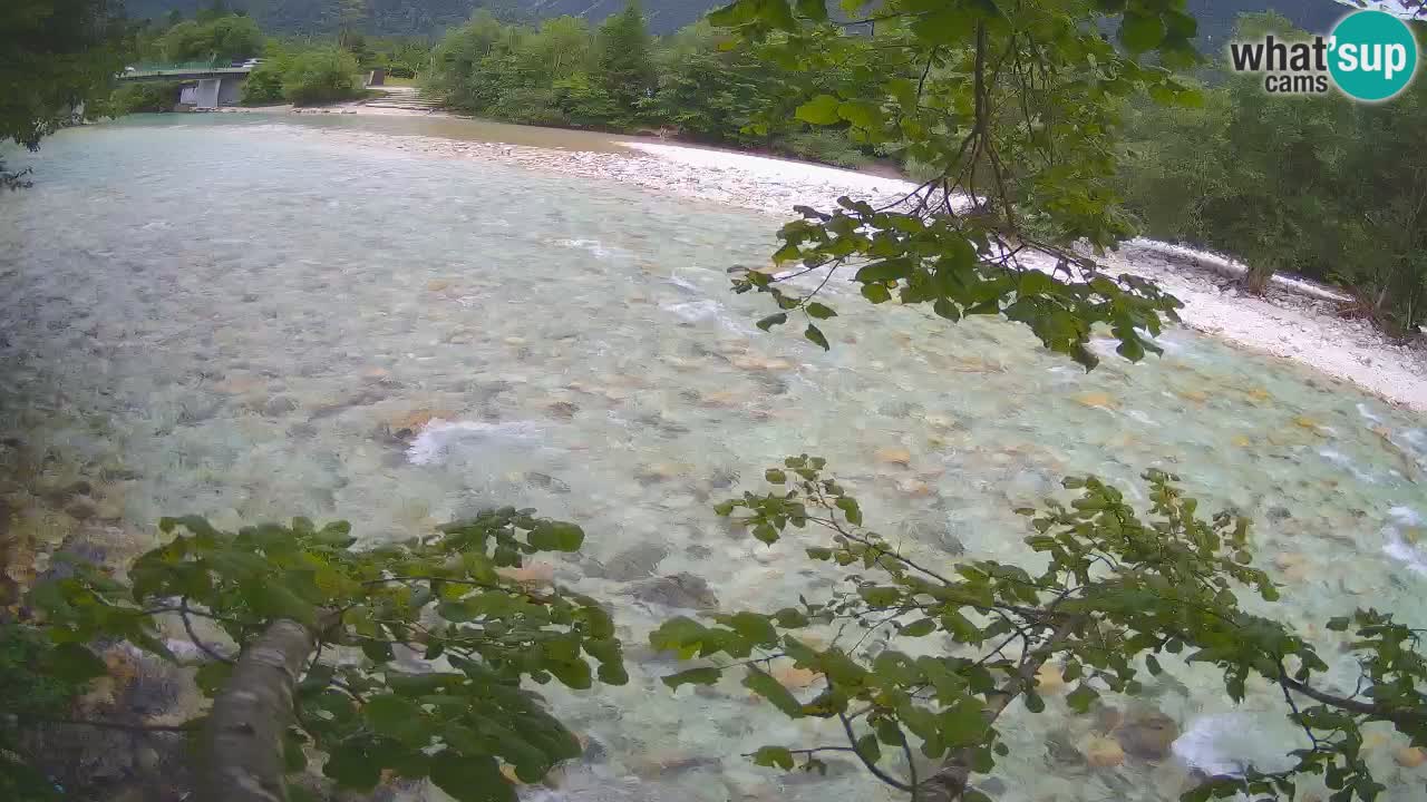 Livecam Čezsoča – Il splendido fiume Isonzo – Soča