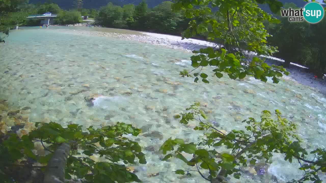 Spletna kamera Čezsoča – Očarljiv pogled na reko Sočo