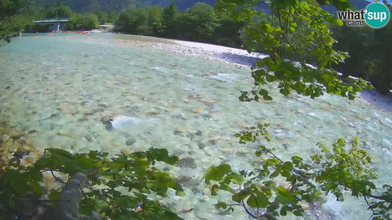 Livecam Čezsoča – Il splendido fiume Isonzo – Soča