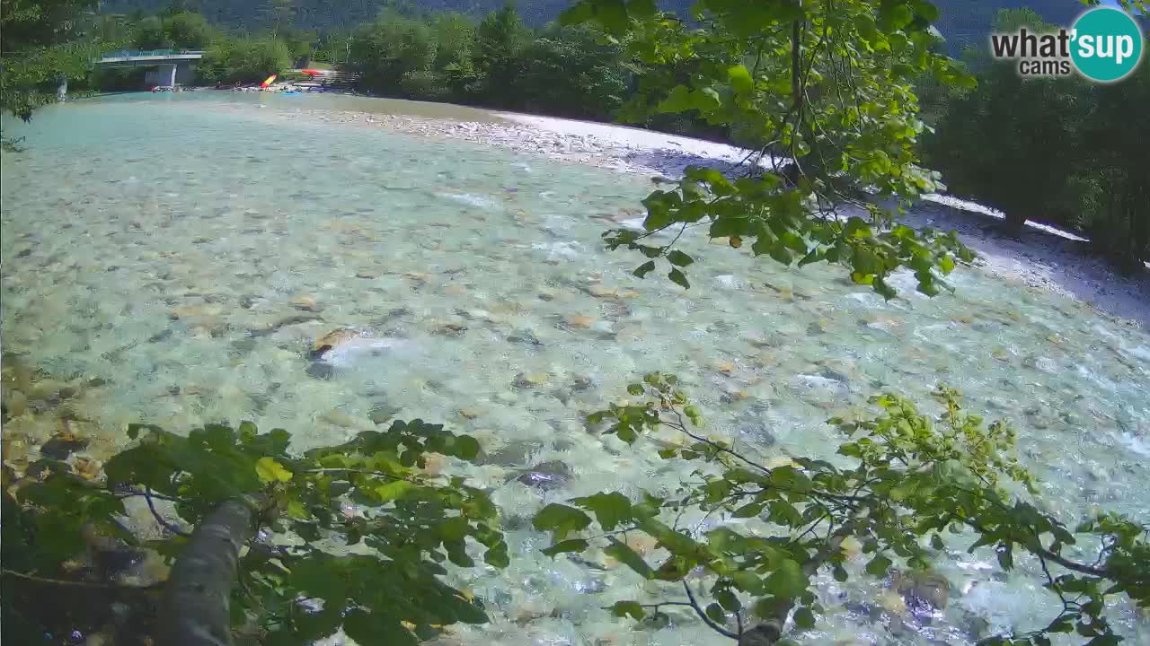 Livecam Čezsoča – Il splendido fiume Isonzo – Soča