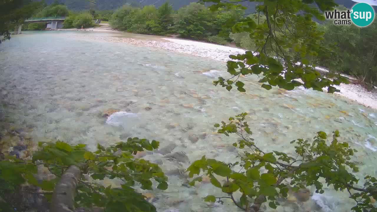 Livecam Čezsoča – Il splendido fiume Isonzo – Soča