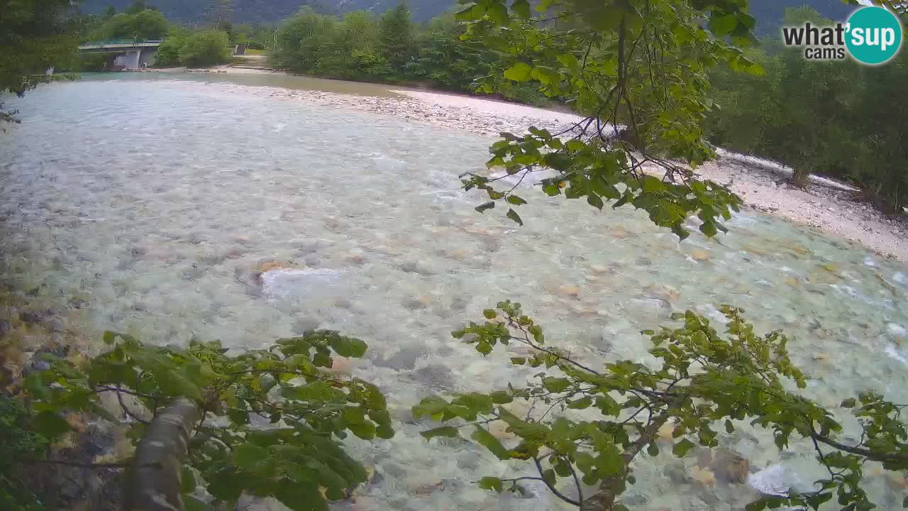 Livecam Čezsoča – Il splendido fiume Isonzo – Soča