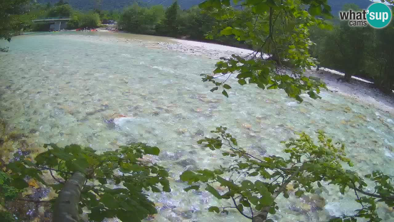 Livecam Čezsoča – Il splendido fiume Isonzo – Soča