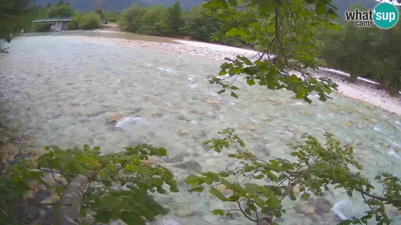 Livecam Čezsoča – Il splendido fiume Isonzo – Soča