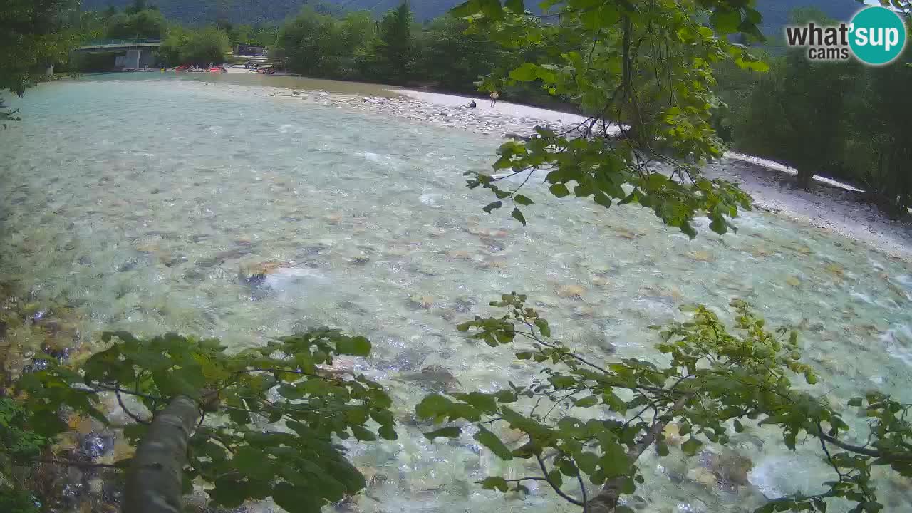 Webcam Čezsoča – Amazing view of Soča River