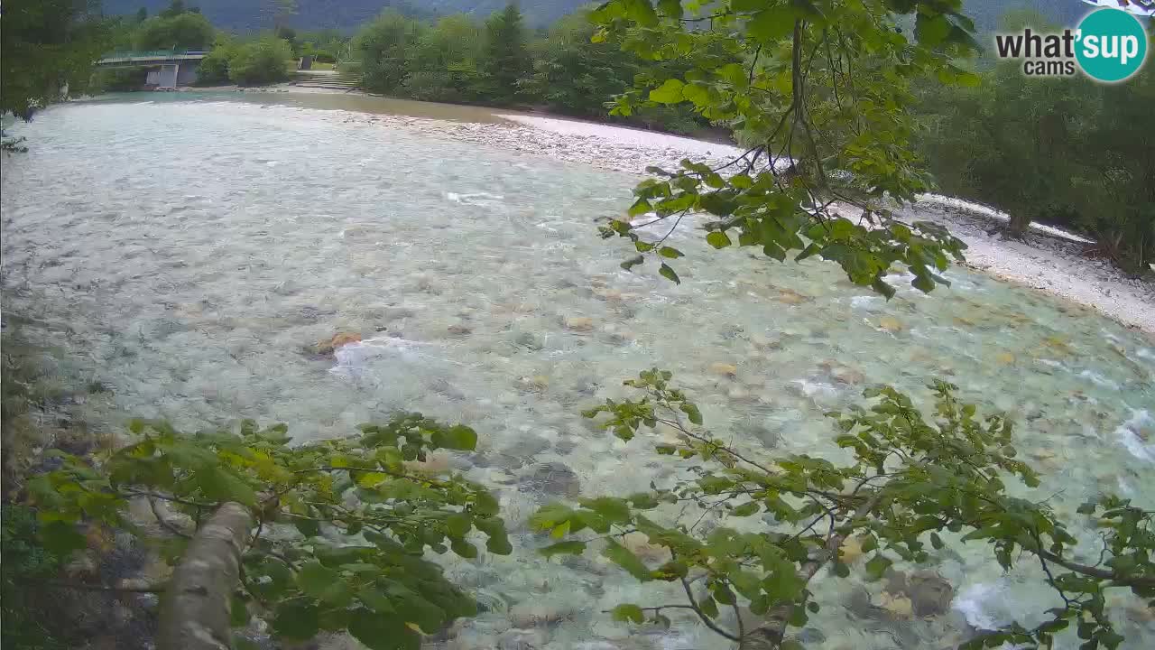 Spletna kamera Čezsoča – Očarljiv pogled na reko Sočo