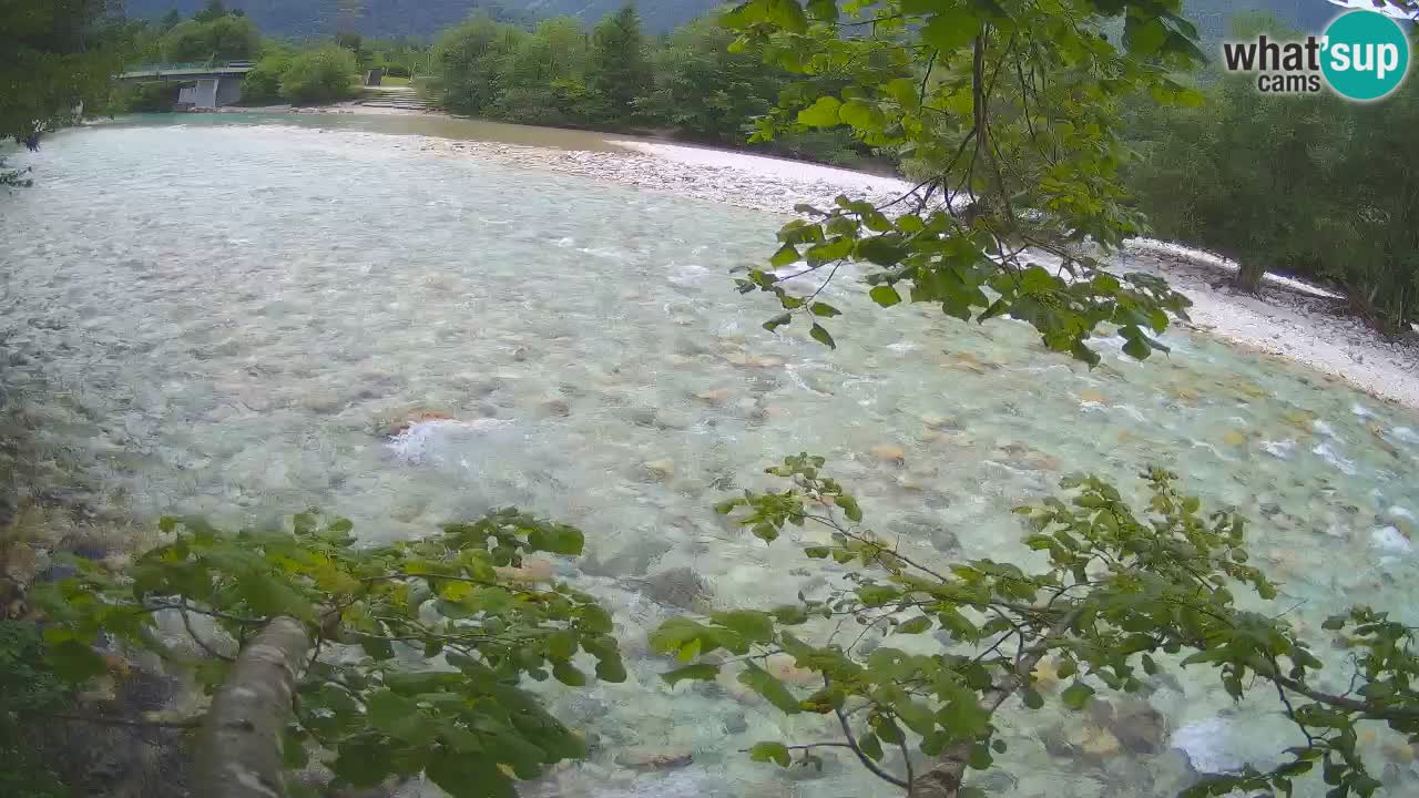 Livecam Čezsoča – Il splendido fiume Isonzo – Soča