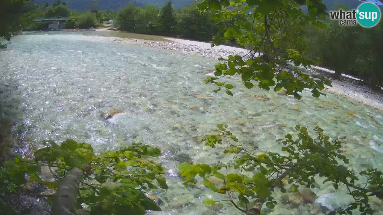 Livecam Čezsoča – Il splendido fiume Isonzo – Soča