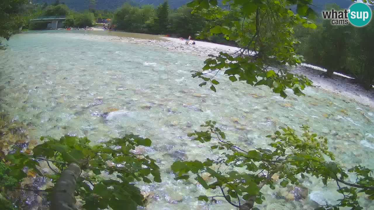 Livecam Čezsoča – Il splendido fiume Isonzo – Soča