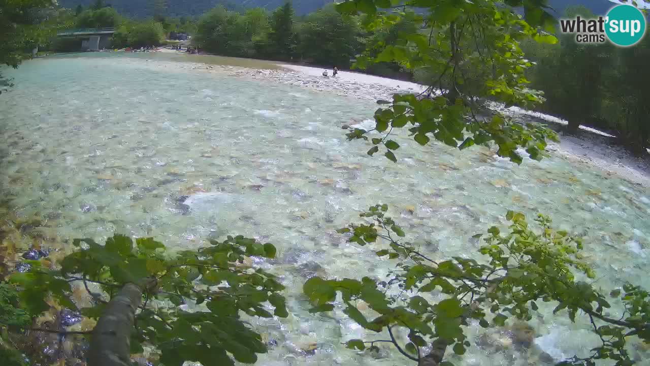 Caméra en direct Čezsoča – Vue imprenable sur la rivière Soča