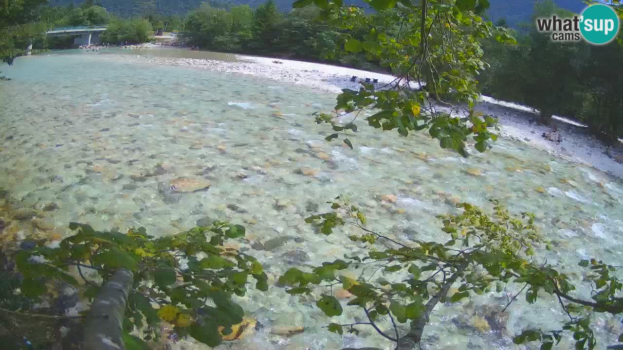 Web kamera Čezsoča – Nevjerojatan pogled na rijeku Soču