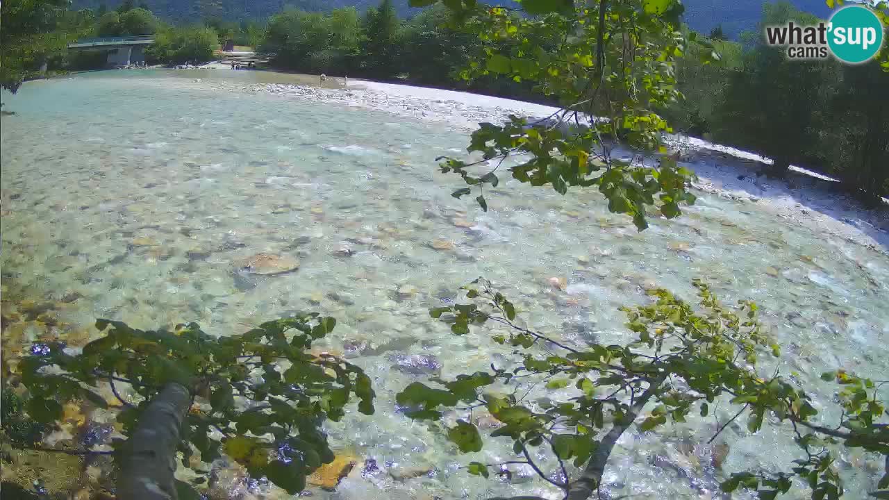 Livecam Čezsoča – Il splendido fiume Isonzo – Soča