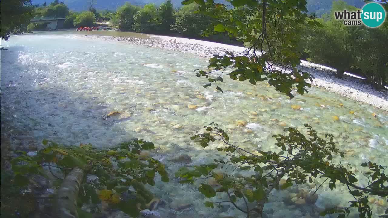 Livecam Čezsoča – Il splendido fiume Isonzo – Soča
