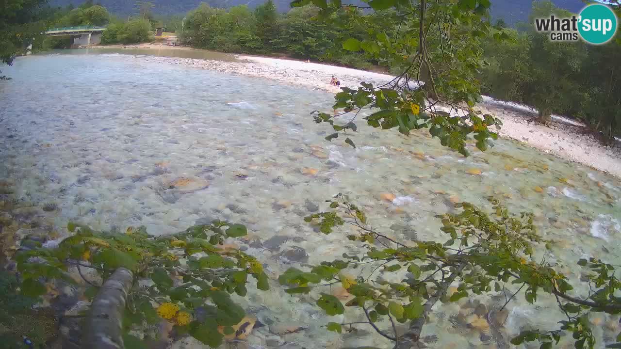 Livecam Čezsoča – Il splendido fiume Isonzo – Soča