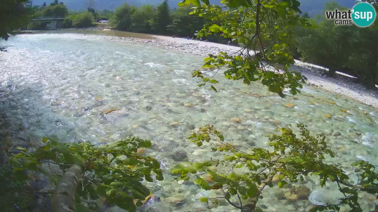 Livecam Čezsoča – Il splendido fiume Isonzo – Soča