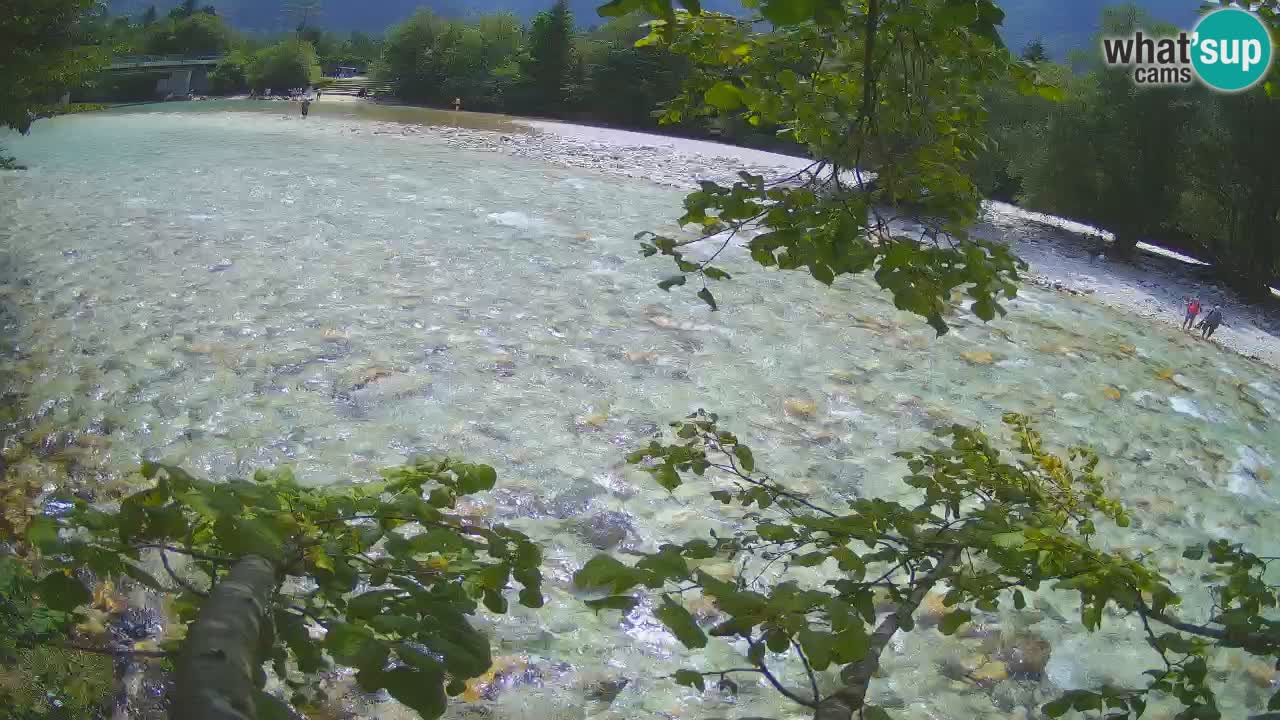 Webcam Čezsoča – Amazing view of Soča River