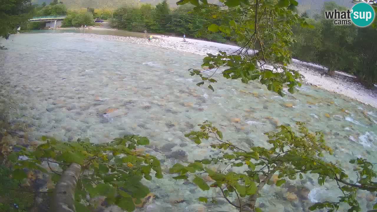 Webcam Čezsoča – Amazing view of Soča River