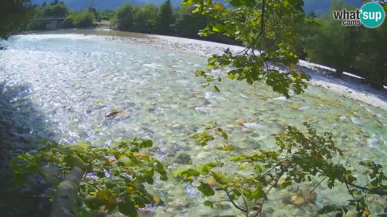 Livecam Čezsoča – Il splendido fiume Isonzo – Soča