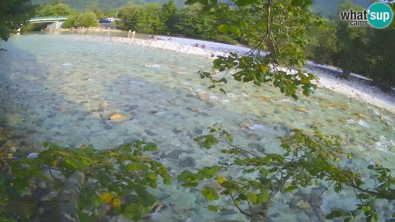 Livecam Čezsoča – Il splendido fiume Isonzo – Soča
