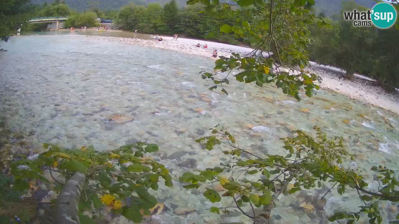 Spletna kamera Čezsoča – Očarljiv pogled na reko Sočo