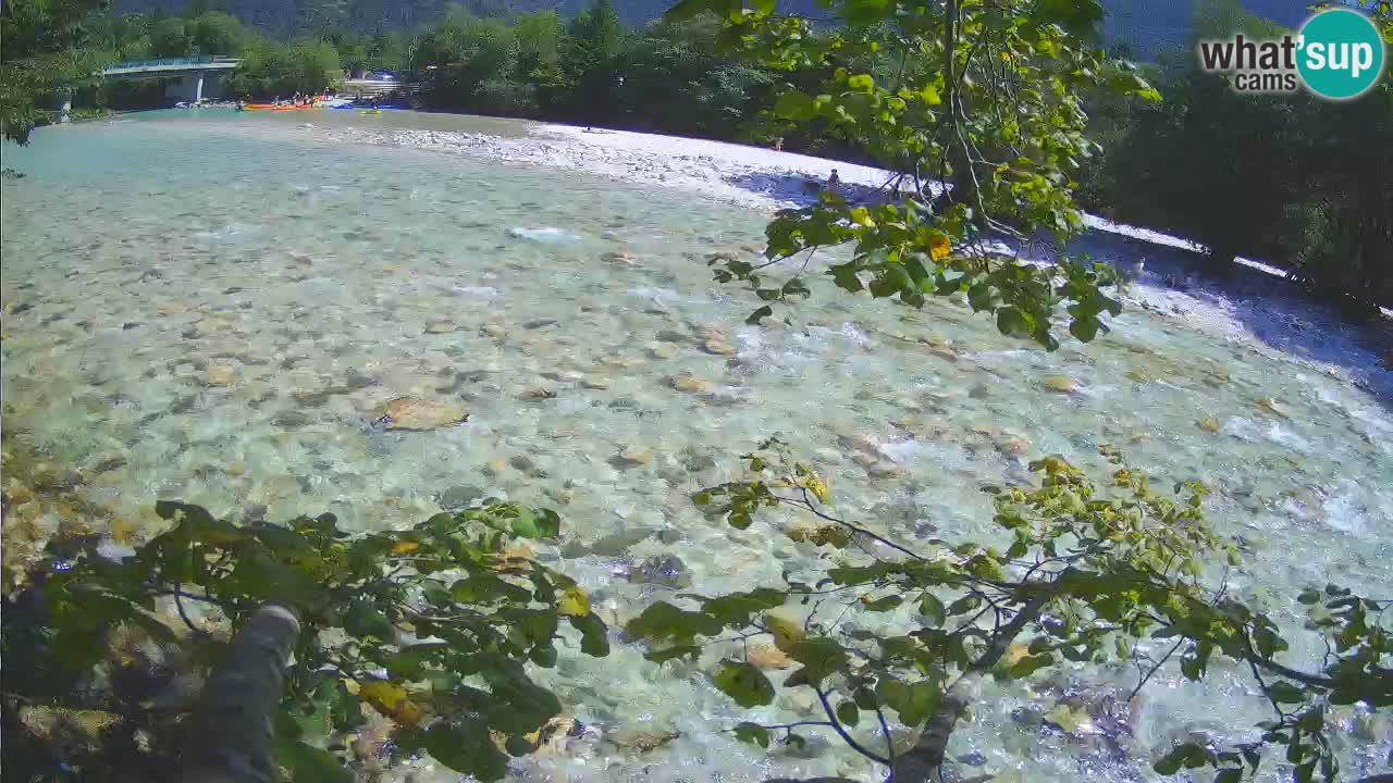 Spletna kamera Čezsoča – Očarljiv pogled na reko Sočo