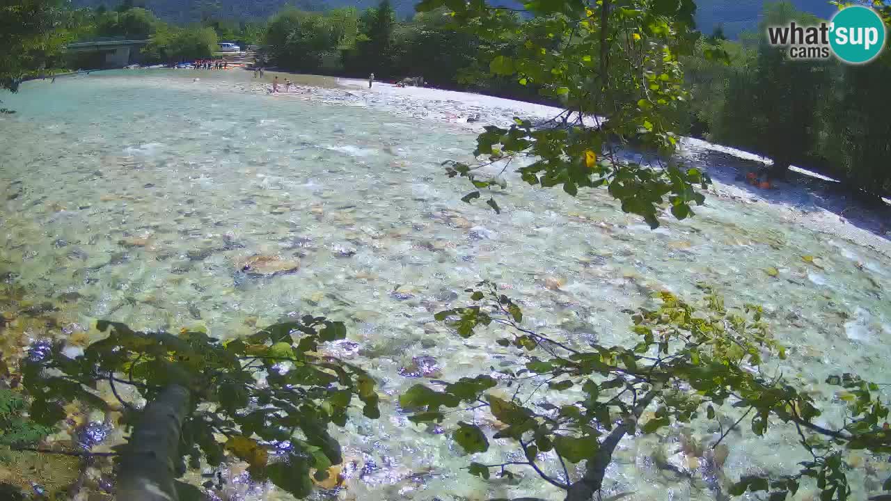 Spletna kamera Čezsoča – Očarljiv pogled na reko Sočo