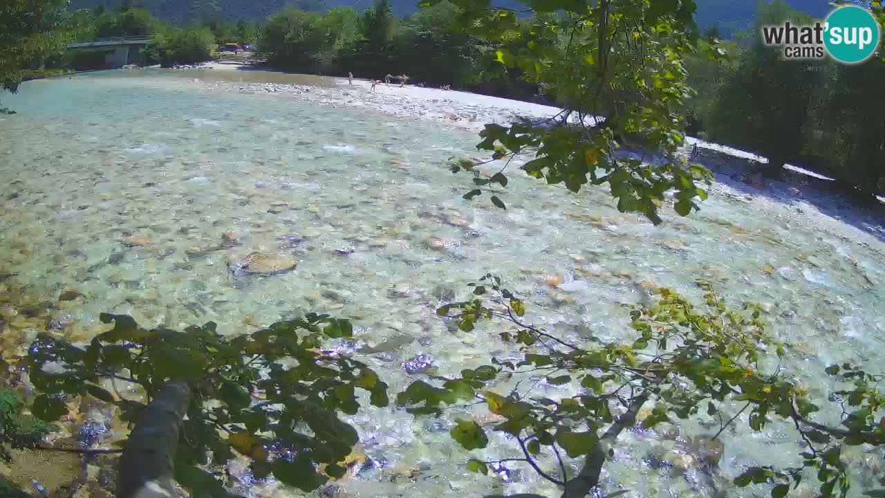Livecam Čezsoča – Il splendido fiume Isonzo – Soča
