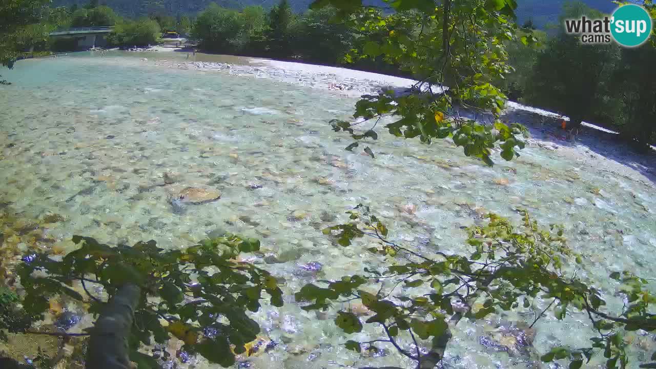 Caméra en direct Čezsoča – Vue imprenable sur la rivière Soča