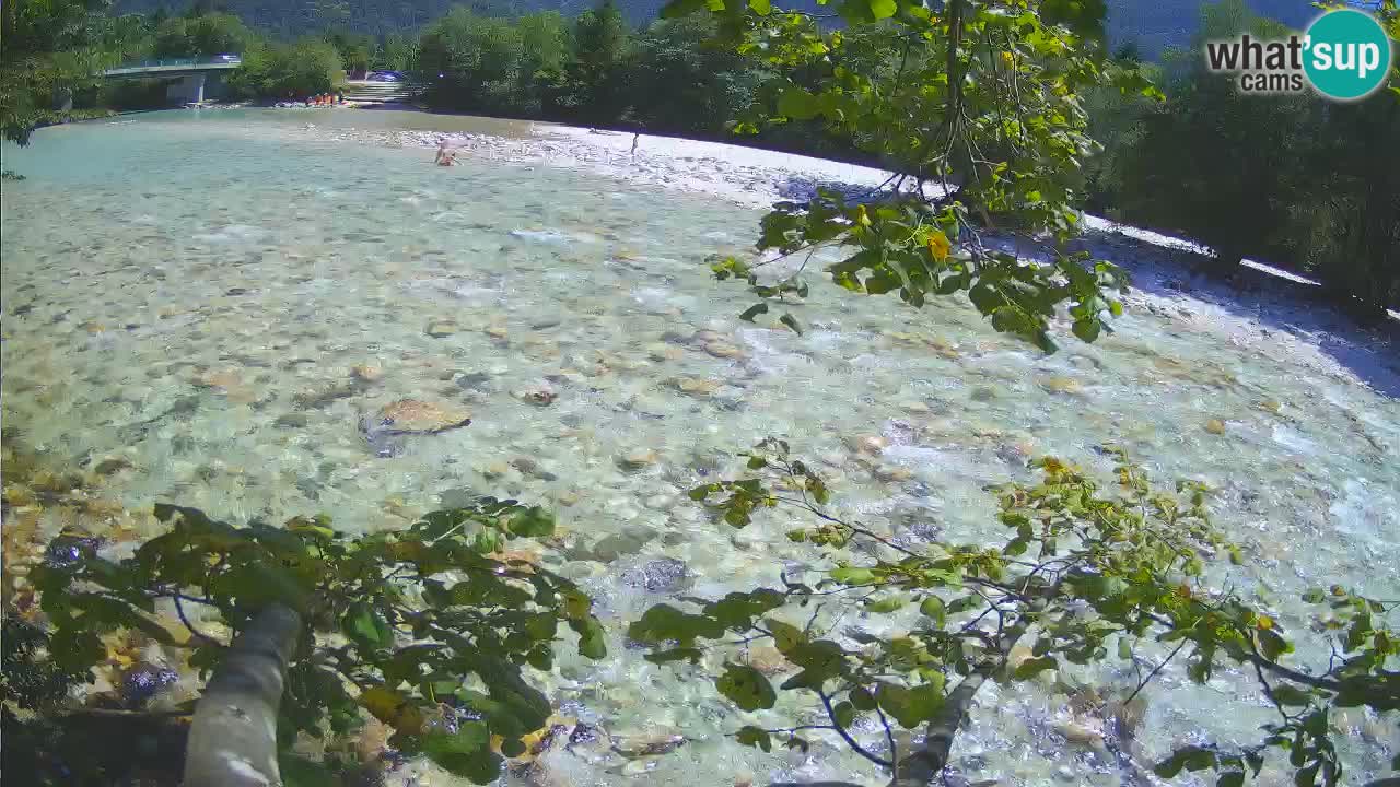 Livecam Čezsoča – Il splendido fiume Isonzo – Soča