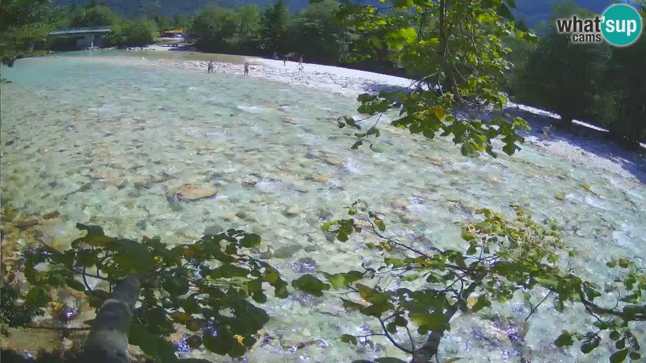 Livecam Čezsoča – Il splendido fiume Isonzo – Soča