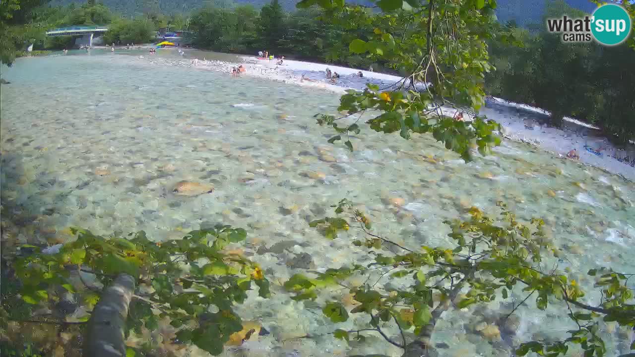 Livecam Čezsoča – Il splendido fiume Isonzo – Soča